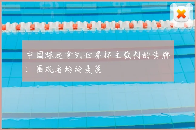 中国球迷拿到世界杯主裁判的黄牌:围观者纷纷羡慕