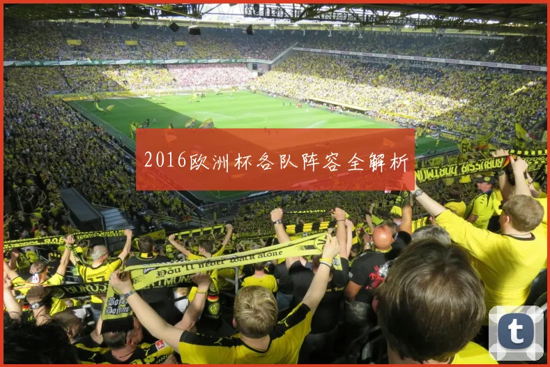 2016欧洲杯各队阵容全解析