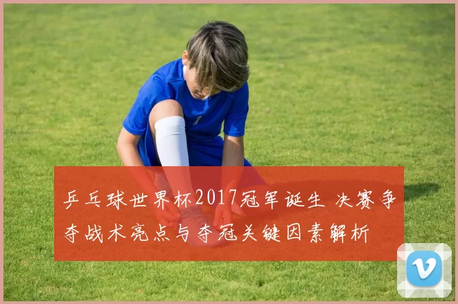 乒乓球世界杯2017冠军诞生 决赛争夺战术亮点与夺冠关键因素解析