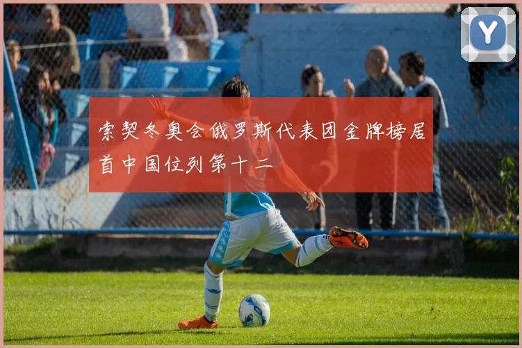 索契冬奥会俄罗斯代表团金牌榜居首中国位列第十二