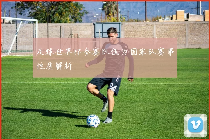 足球世界杯参赛队伍为国家队赛事性质解析