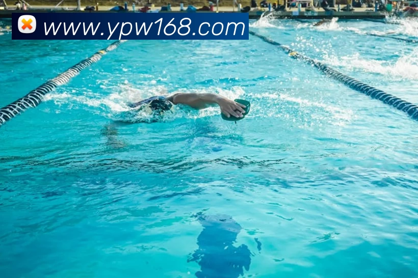 球盟会网站登录入口 - 球盟会(中国)平台生态图